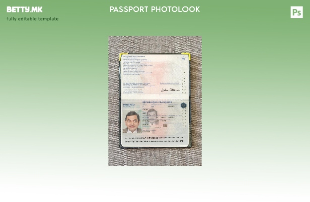 Модерен стил Француски пасош присутен шаблон за фото изглед